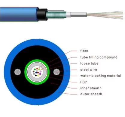 Unleashing Gigabit Speed A Comprehensive Guide to … - balustradellc