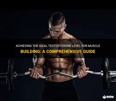 Unleashing Strength: The Truth About Testosterone And Muscle Building - balustradellc