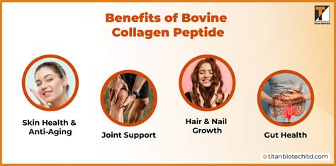 Unlock Health Benefits with Bovine Collagen Peptides - balustradellc