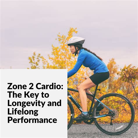 Unlock Longevity: The Truth About Zone 2 Cardio and Mitochondrial ... - balustradellc