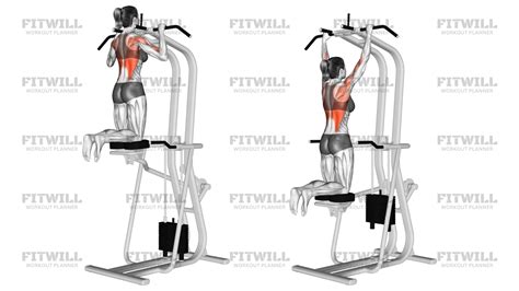 Unlock The Power Of Pullups: Assisted Vs. Negatives For Rapid Results - balustradellc