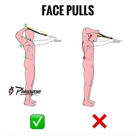 Unlock the Secret to a Perfect Face Pull: How to Correctly Do This ... - balustradellc