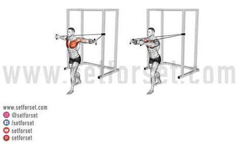 Unlock the Secret to Perfect Form: How to Do Cable Flys Correctly for ... - balustradellc