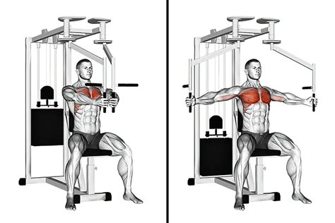 Unlock The Secret To Perfect Pec Deck Chest Fly: Learn How To Do … - balustradellc