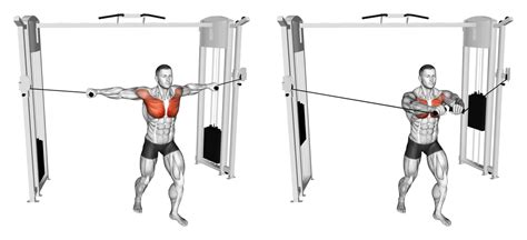 Unlock the Secrets of the Perfect Cable Fly: A Step-by-Step Guide - balustradellc