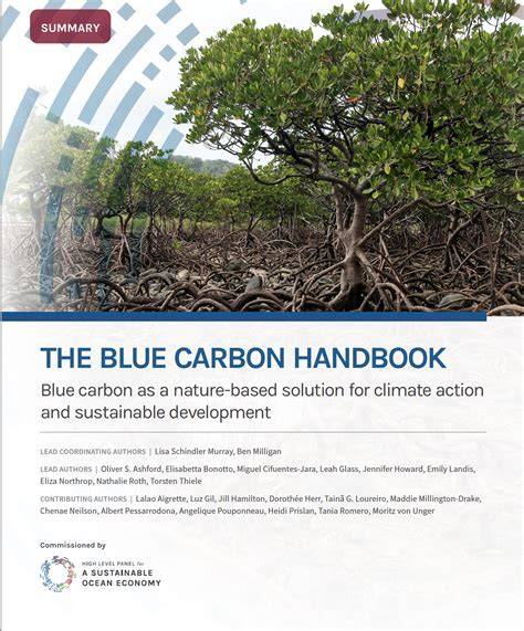 Unlocking Blue Carbon Development - World Bank Group - raincitystudios.com
