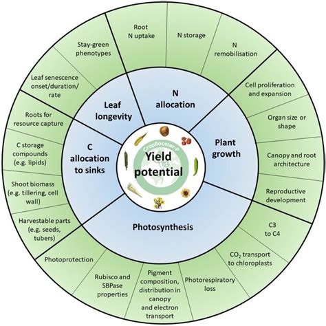 Unlocking crop yield potential: New modeling approach for sustainable ... - wintechmobiles.com