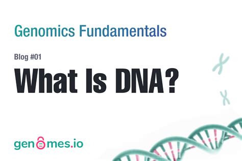 Unlocking DNA Fundamentals for Bioinformatics and Genomics … - wintechmobiles.com