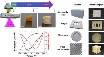 Unlocking enhanced piezoelectric performance through 3D printing of ... - wintechmobiles.com