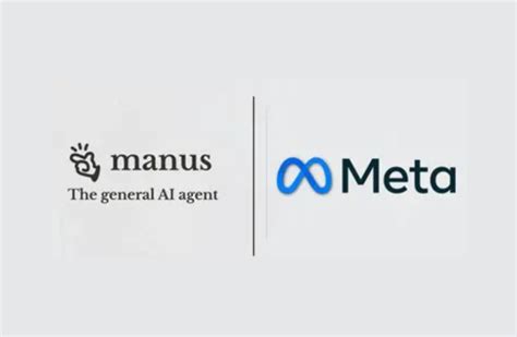 Unlocking the Power of Manus in Meta’s Business and ... - raincitystudios.com