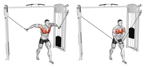 Unlocking the Power of Your Workout: Expert Advice on How to Cable Fly ... - balustradellc