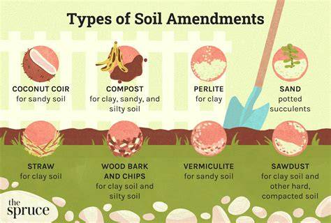 Unlocking the Secrets of Soil: The Best Soil Amendments for Your ... - raincitystudios.com