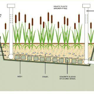 Unplanted Drying Bed Fact Sheet | WASH Resources - raincitystudios.com