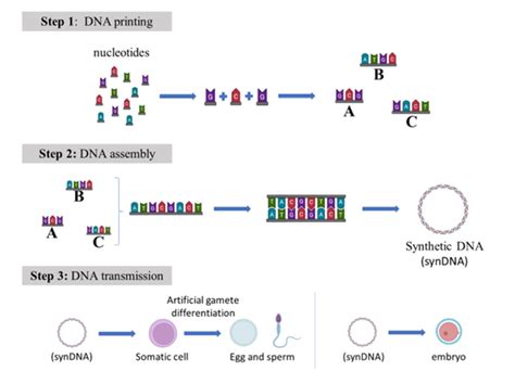 Unravelling the ethics of synthetic DNA - muktibox.com