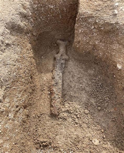 Unusual burials of Celtic 'warriors' discovered in France point to ... - wintechmobiles.com