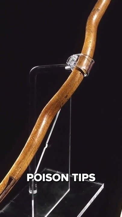 Unveiling the Art of Scythian Metallurgy and Alloy Composition - wintechmobiles.com