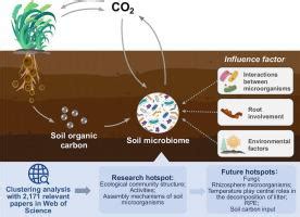Unveiling the crucial role of soil microorganisms in carbon cycling: A ... - raincitystudios.com