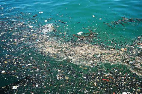 Upaya Cegah Plastik Cemari Laut Indonesia - Artikel … - raincitystudios.com