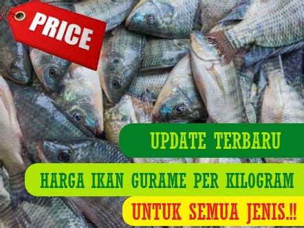 Update Harga Ikan Gurame per Kilogram, Semua Jenis - balustradellc