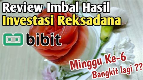 Update Minggu ke 6 Investasi di Bibit - balustradellc