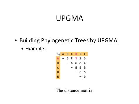 UPGMA - coolestguyplanet.net