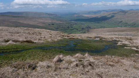 Upland spring, flush and fen - The Wildlife Trusts - raincitystudios.com