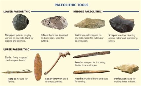 Upper Paleolithic Art and Tool Development - wintechmobiles.com