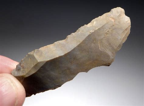 Upper Paleolithic tool technologies and art | World... | Fiveable - wintechmobiles.com