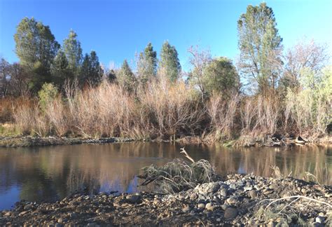Upper Sacramento River Anadromous Fish Habitat Restoration Program - raincitystudios.com