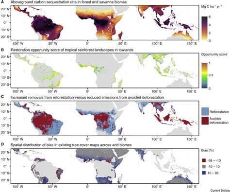 Upscaling tropical restoration to deliver environmental benefits and ... - raincitystudios.com