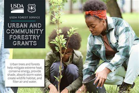 Urban and community forestry - raincitystudios.com
