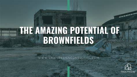 Urban brownfields and their potential for nature ... - Springer - raincitystudios.com