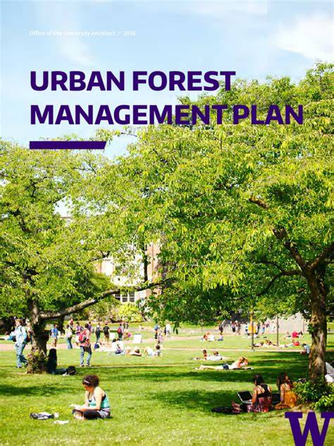 Urban Forest Management Plan - ICMA - raincitystudios.com