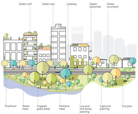 Urban forestry: multi-functional greening in the city - raincitystudios.com