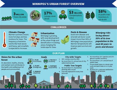 Urban Forestry Strategic Plans & Urban Forest Management Plans - raincitystudios.com
