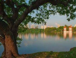 Urban Greening: Six Cities Making Room for Nature | BBC Earth - raincitystudios.com