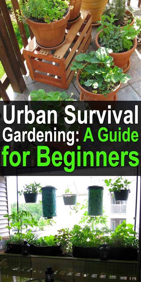 Urban Survival Gardening: A Guide for Beginners - balustradellc