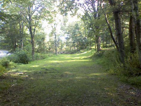 Urban Woodlot and Park Management - Tree Canada - raincitystudios.com