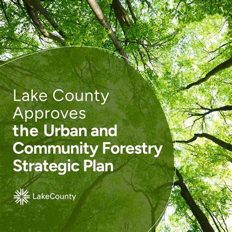 urban-forestry-strategic-plan-parks - The City of Calgary - raincitystudios.com