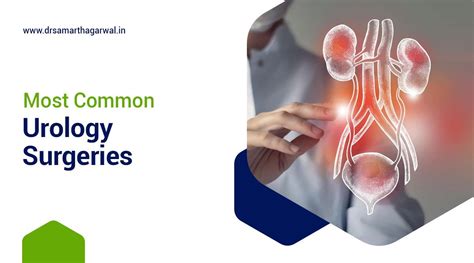 Urology - muktibox.com