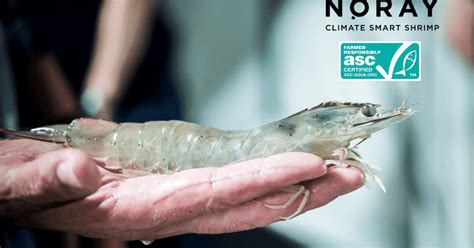 US's largest land-based shrimp farm served eviction for nonpayment ... - balustradellc