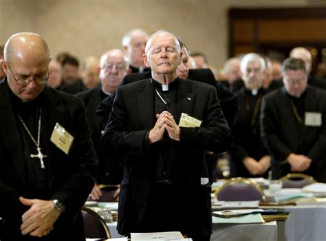 US Catholic bishops meet; leaders call for unity and peace amid internal strife and global conflict