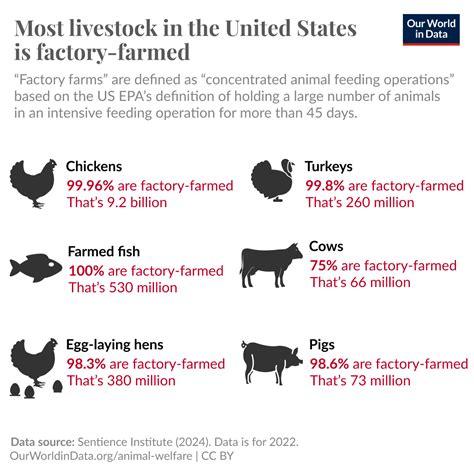 US Factory Farming Estimates - Sentience Institute - coolestguyplanet.net