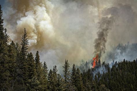 US Forest Service sued over flooding deaths in the wake of New Mexico’s largest recorded wildfire