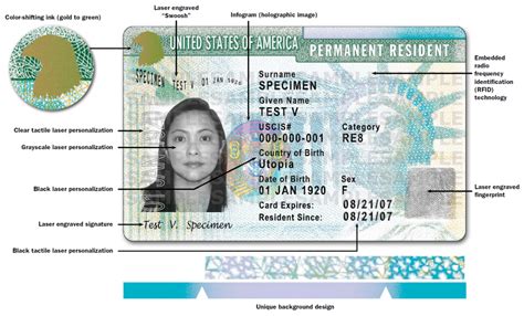 US Permanent Resident Card: Guide to Green Cards - balustradellc