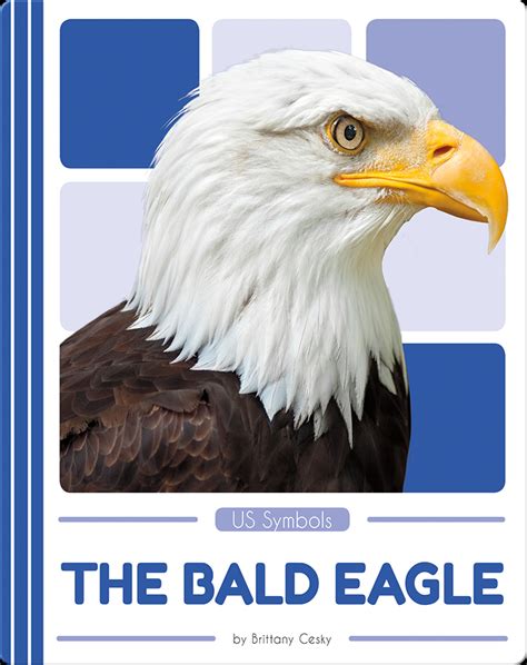 US Symbols: The Bald Eagle Book by Brittany Cesky Epic