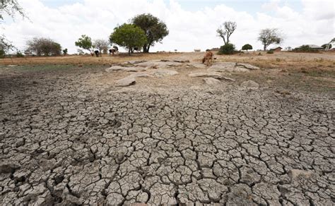 US announces $524M for Horn of Africa drought, climate crisis while Germany, UK also make pledges