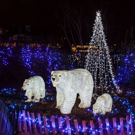 USA Today ranks the Saint Louis Zoo's holiday lights among the best