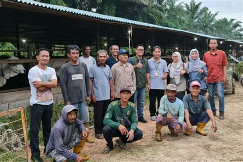 Usaha Biogas di PPU Terus Berkembang - Prokal - raincitystudios.com