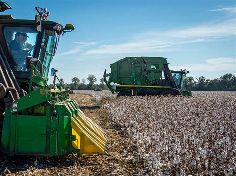 USDA August Production Report - Cotton